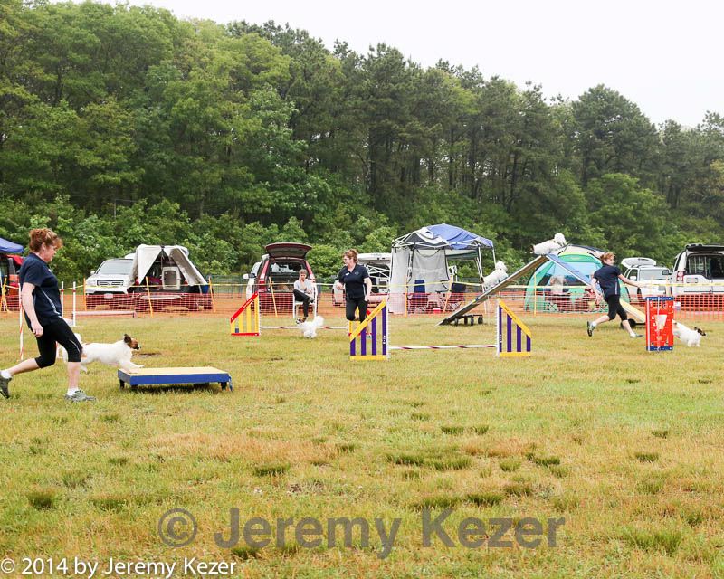20140614-comp-0015.jpg