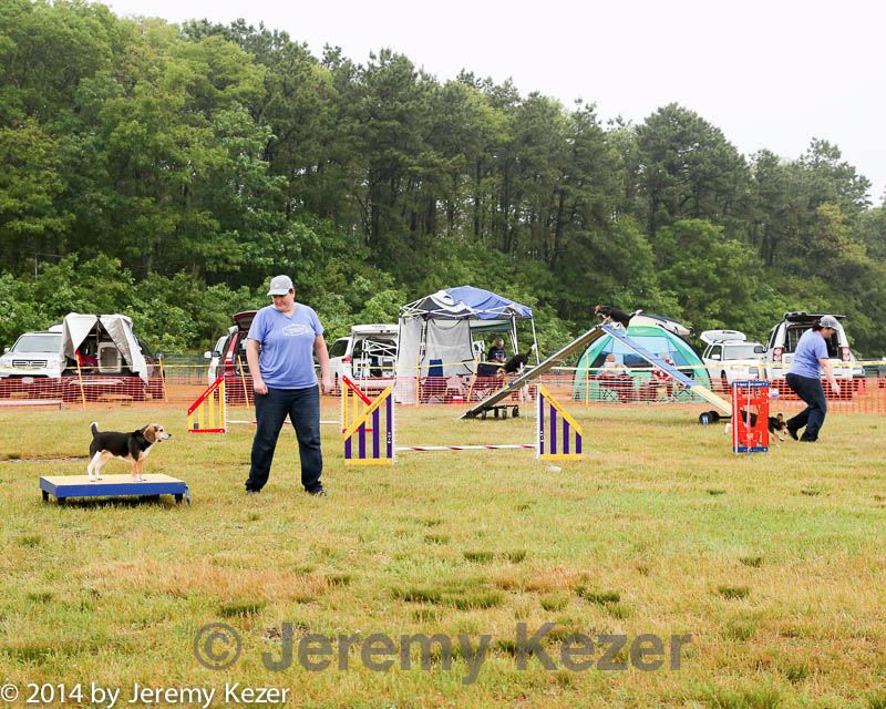 20140614-comp-0016.jpg