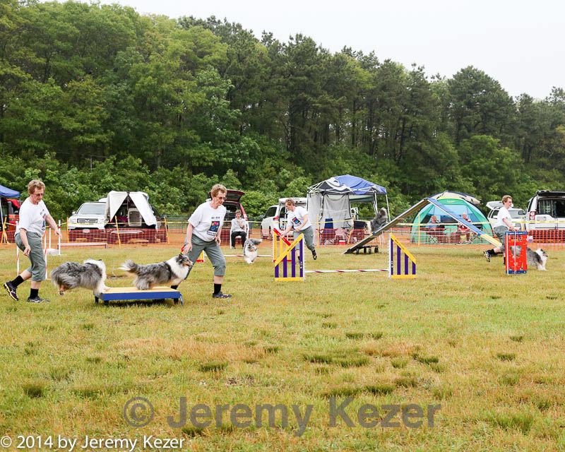 20140614-comp-0017.jpg