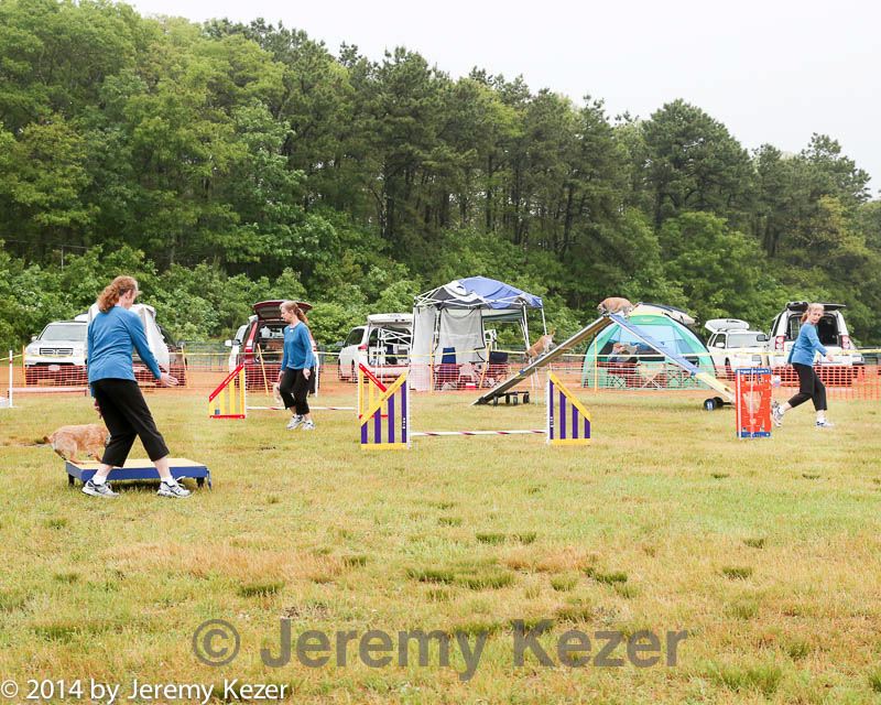 20140614-comp-0018.jpg