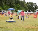 20140614-comp-0031
