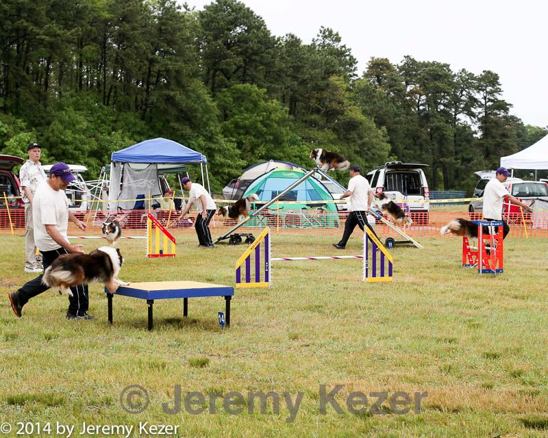 20140614-comp-0052.jpg