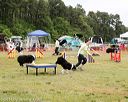 20140614-comp-0073