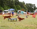 20140614-comp-0084