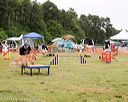20140614-comp-0088