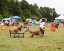 20140614-comp-0106