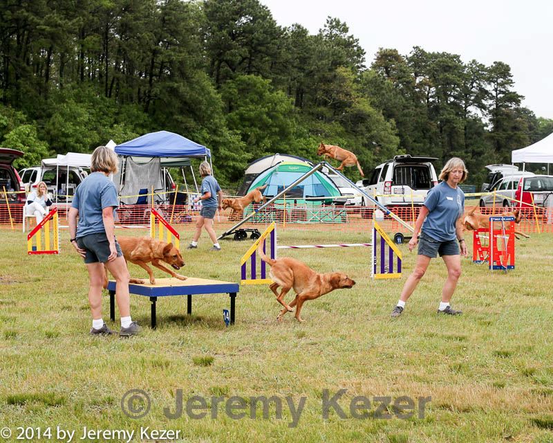 20140614-comp-0087.jpg