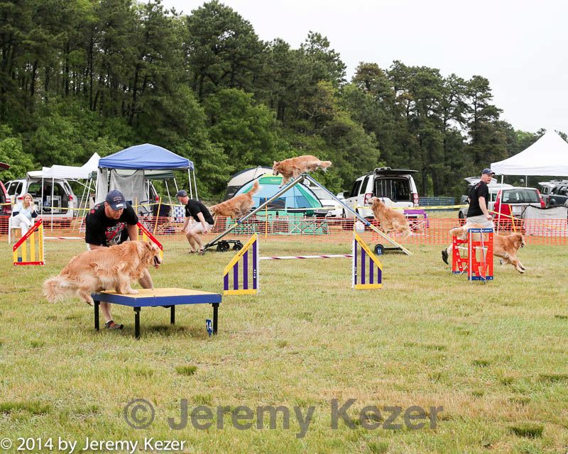 20140614-comp-0088.jpg