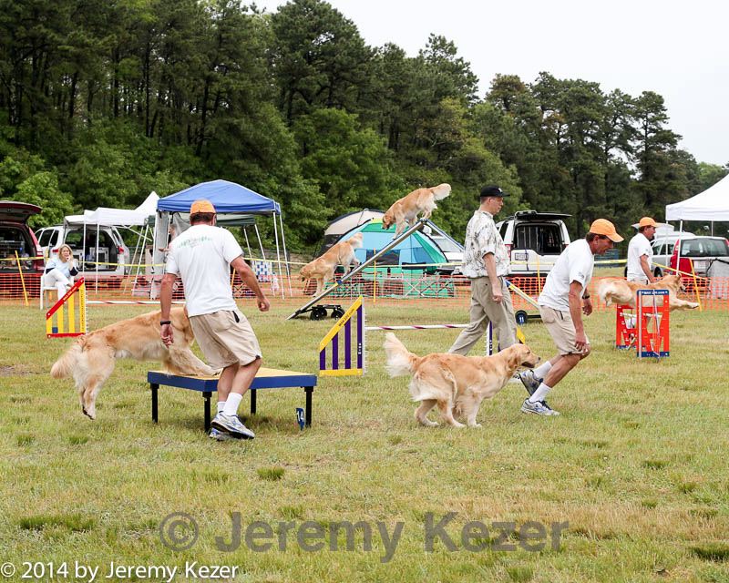 20140614-comp-0092.jpg
