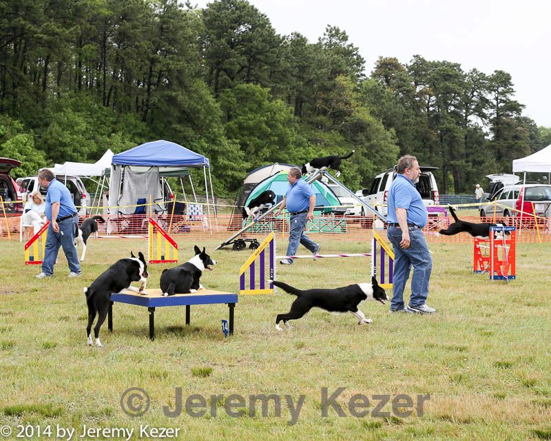 20140614-comp-0094.jpg