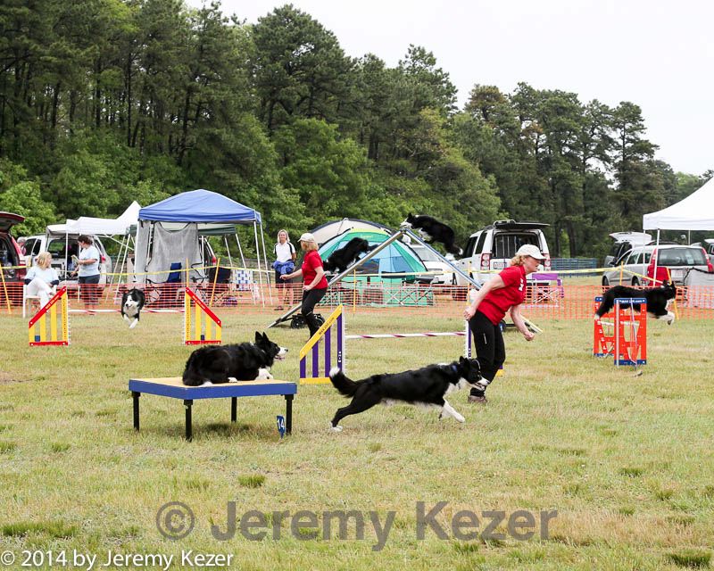 20140614-comp-0095.jpg