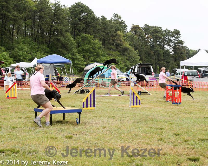 20140614-comp-0097.jpg