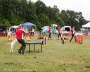 20140614-comp-0112