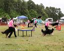 20140614-comp-0113