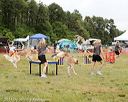 20140614-comp-0114