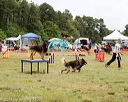 20140614-comp-0119