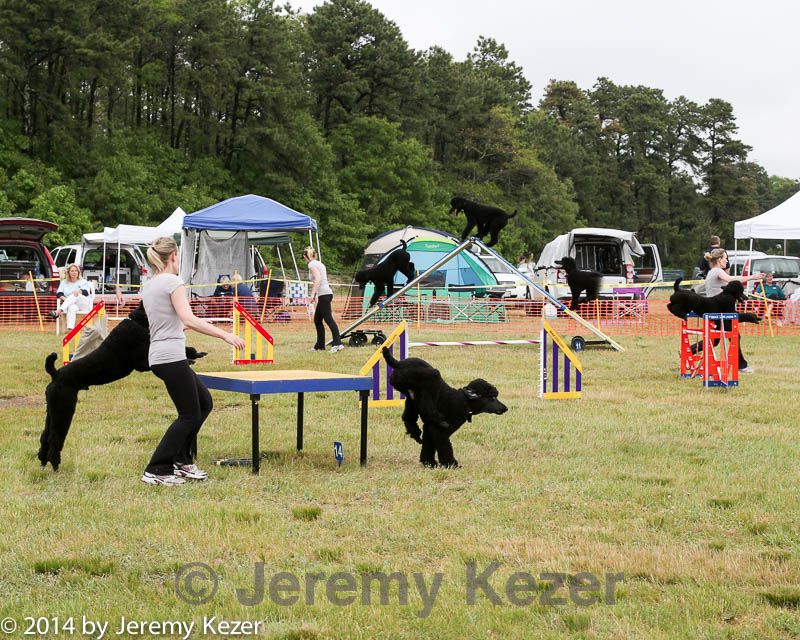20140614-comp-0109.jpg