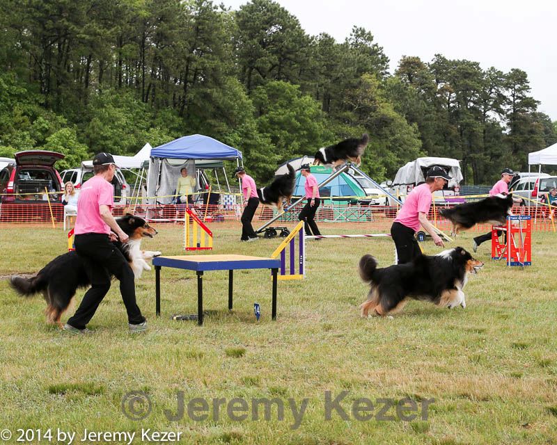 20140614-comp-0113.jpg