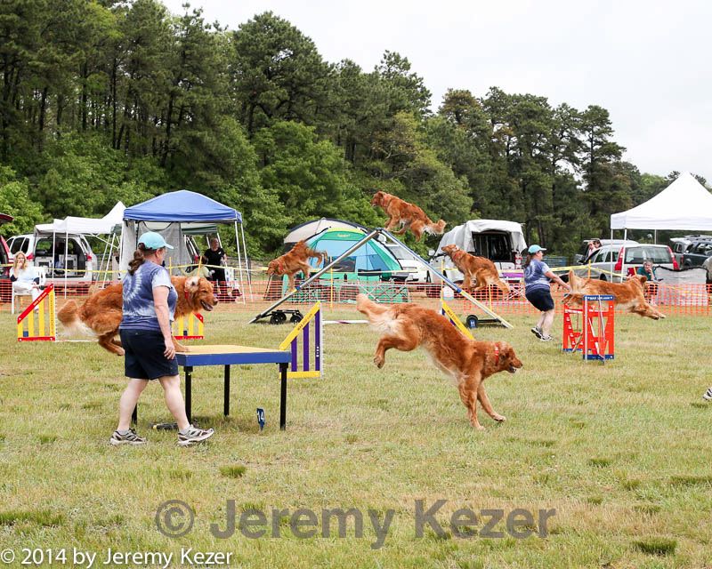 20140614-comp-0116.jpg