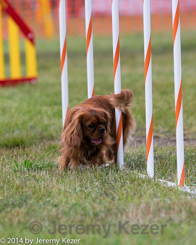 20140614-1480.jpg