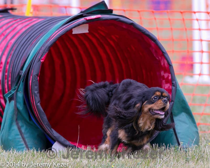 20140614-1489.jpg