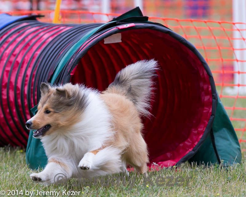 20140614-1517.jpg