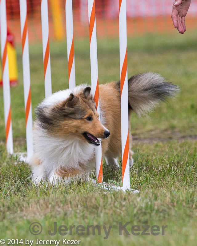 20140614-1524.jpg