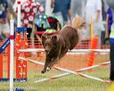 20140614-1611