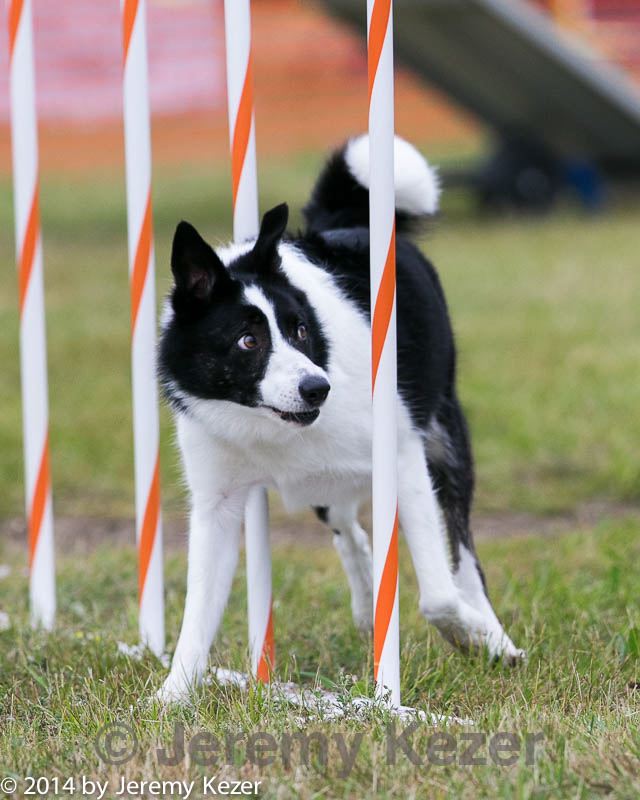 20140614-1560.jpg