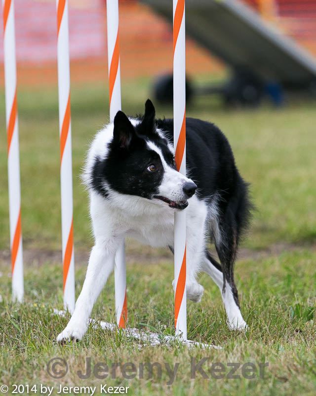 20140614-1563.jpg