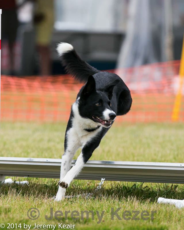 20140614-1600.jpg