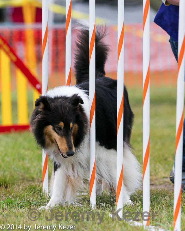 20140614-1639.jpg