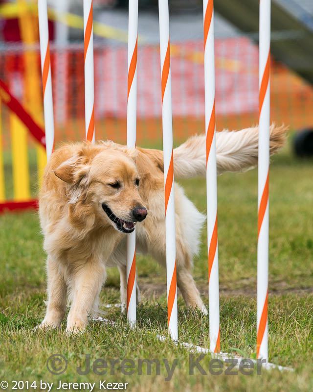 20140614-1682.jpg