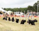 20140614-comp-0125