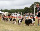 20140614-comp-0126