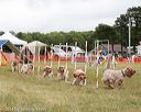 20140614-comp-0127