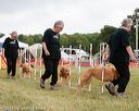 20140614-comp-0131