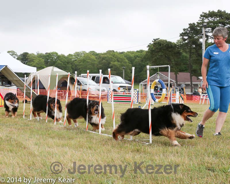 20140614-comp-0132.jpg