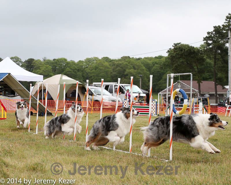 20140614-comp-0134.jpg