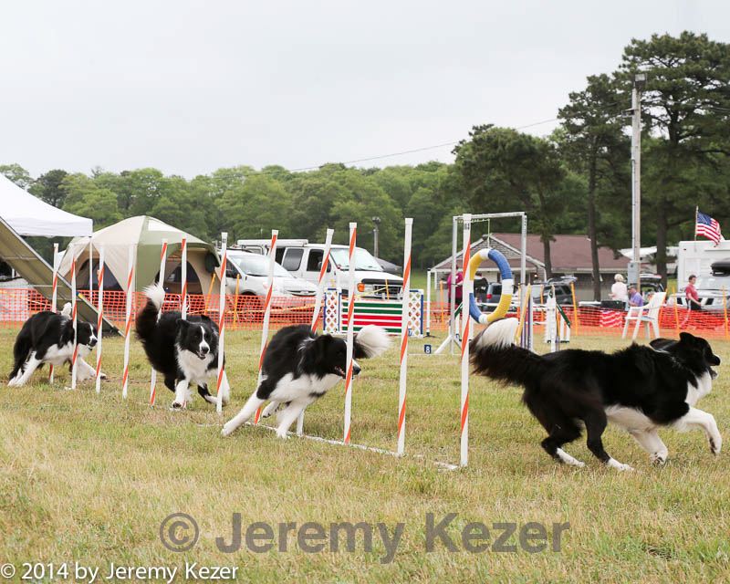 20140614-comp-0136.jpg