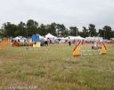 20140614-comp-0144