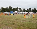 20140614-comp-0145