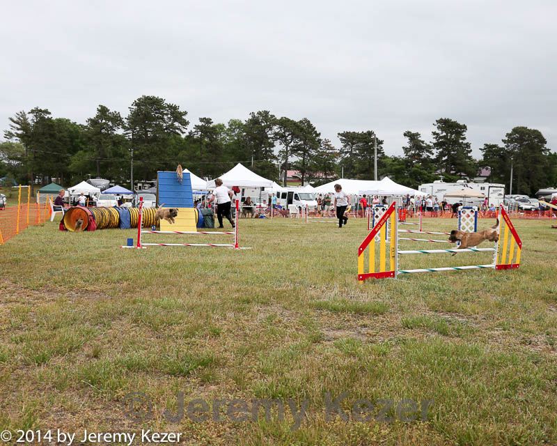 20140614-comp-0144.jpg