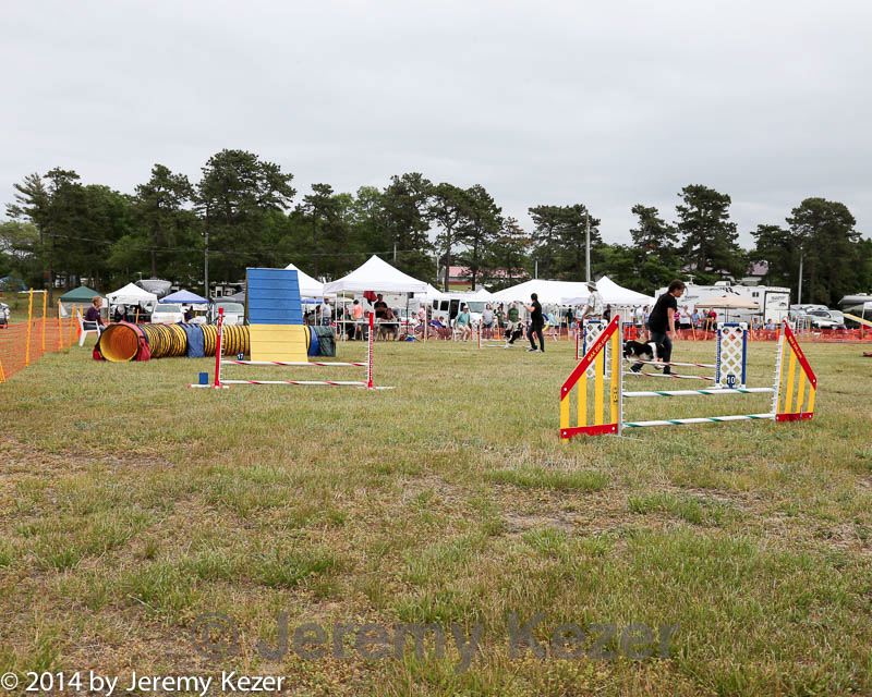 20140614-comp-0145.jpg