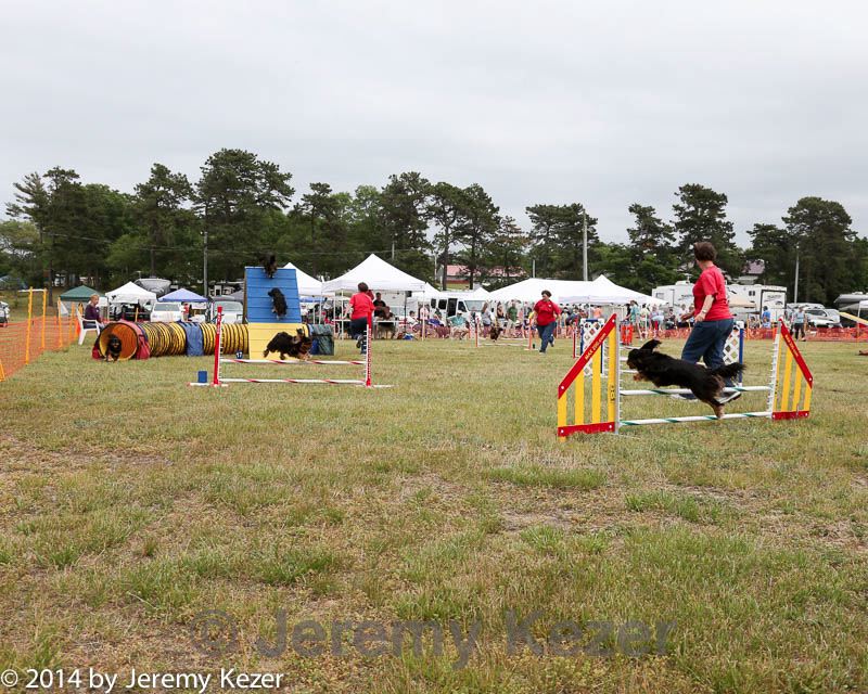20140614-comp-0146.jpg