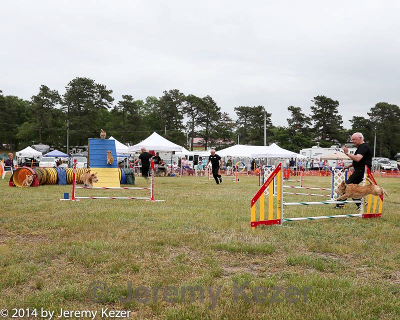 20140614-comp-0149.jpg