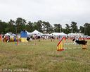 20140614-comp-0155