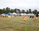 20140614-comp-0160