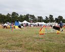 20140614-comp-0167