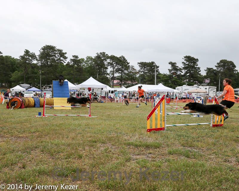 20140614-comp-0153.jpg